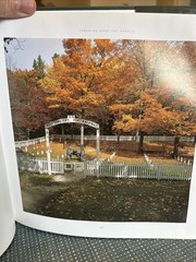Views of Mackinac Island