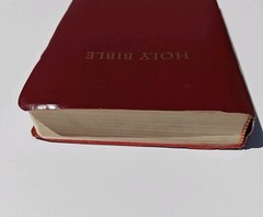 Holy Bible New Living Translation Tyndale Red Letter 1997