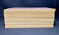 The Gymnasts Book Lot Apple Fiction Scholastic #4 9 10 12 13 14 17 19 21 Vintage