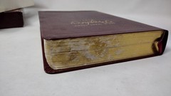 The Jack Van Impe Prophecy Bible Leather Limited Special Edition KJV RED Jesus