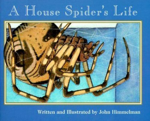 A House Spider’s Life (Nature Upclose) by Himmelman, John, Very Good Book