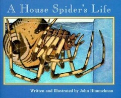 A House Spider’s Life (Nature Upclose) by Himmelman, John, Very Good Book