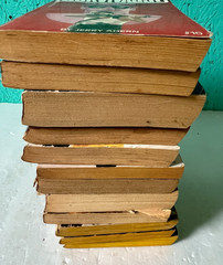 Action Lot of 12 Books Survivalist Louis Lamour Thriller Mystery Western 80’s