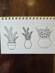 House Plants Coloring books for adults. A5 Size Coloring Book 8.5 in X 5.5 in.