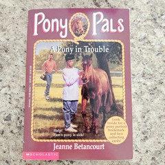 Lot of 3 PONY PALS Chapter Books by Jeanne Betancourt – Scholastic RL3 – HORSES
