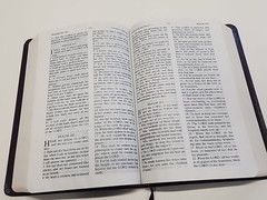 The Jack Van Impe PROPHECY BIBLE ~ Red Letter ~ Limited Special Edition KJV