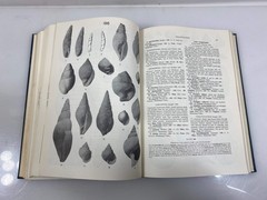 Index Fossils of North America by Shimer/Shrock 8th Print 1965 Ex-Library HC