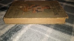 1916 Nyal Cook Book by Janet McKenzie Hill Boston Cooking School Illustrated