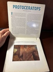 Photicular Ser.: Dinosaur : A Photicular Book by Kathy Wollard and Dan Kainen…