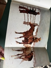 Frederic Remington by Peter Hassrick Western Art HC Coffee Table Book 1973