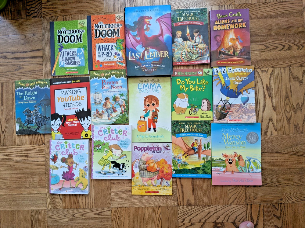 Lot of 15 Children’s Books Mixed Picture Books Early Readers & Chapter Books
