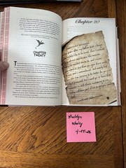Rebecca Yarros Fourth Wing &Iron Flame Bookish Box Edition with page overlays