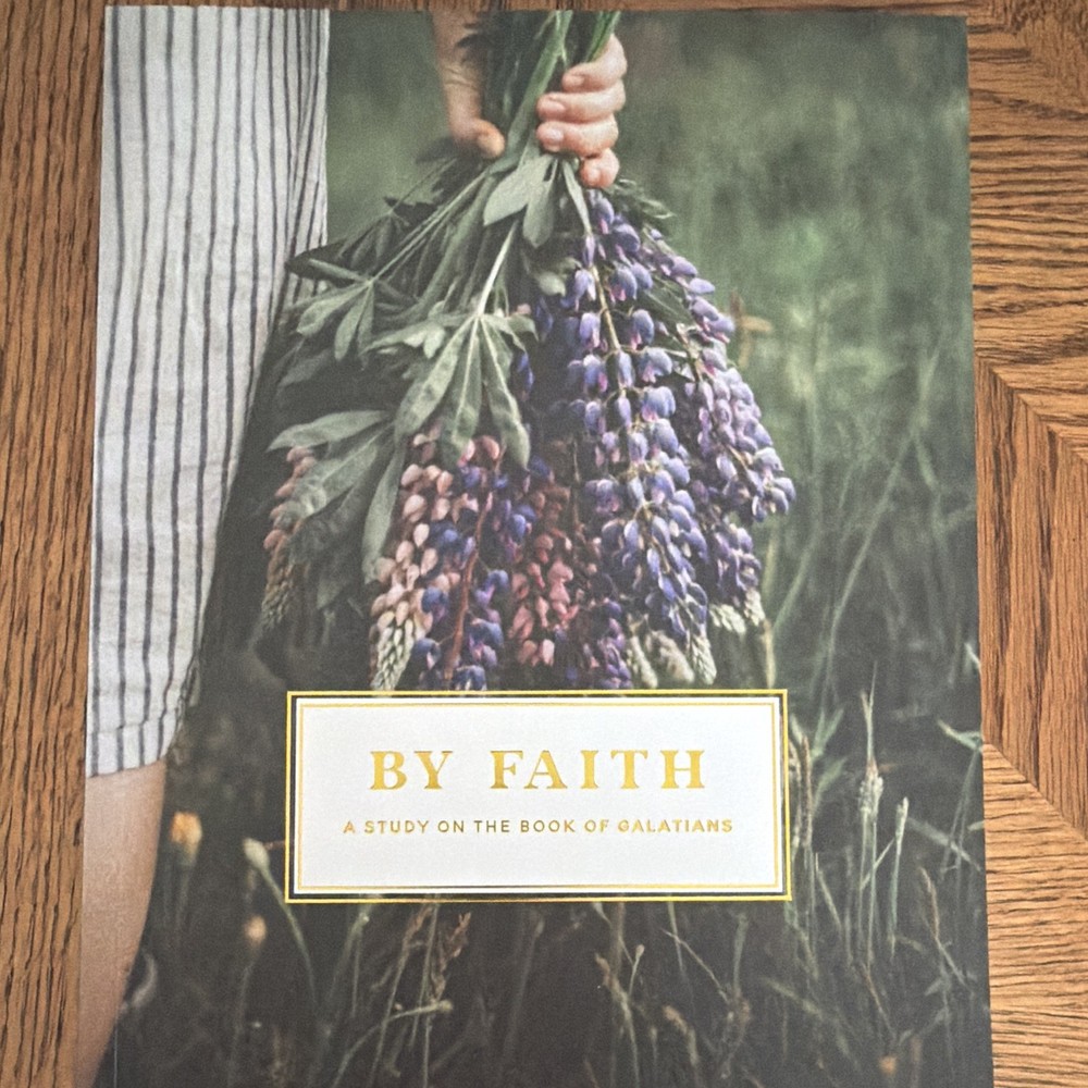 The Daily Grace Co. By Faith Galatians Study Guide Glenna Marshall PB 2019