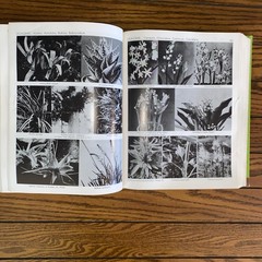 Exotica Pictorial Cyclopedia of Exotic Plants, Series 3, 6th Edition A.B. Graf