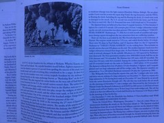 Pain & Purpose In the Pacific: True Reports Of War Richard Carl Bright Iwo Jima