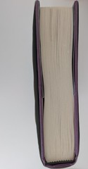 SIGNED Brandon Sanderson/Dan Wells | Shadows Beneath | Writing Excuses | 1st/1st