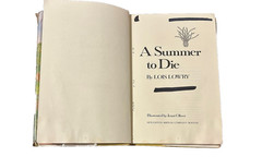 A Summer to Die by Lois Lowry 1977, Hardcover Vintage