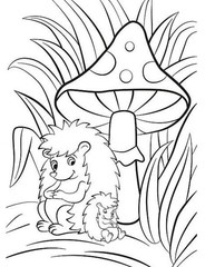 Best Mushroom Coloring Book red cap mushrooms 108 Pages 8.5 x 11 for All Ages