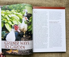 New Southern Gardeners Handbook Your Complete Guide By Cool Springs Press…