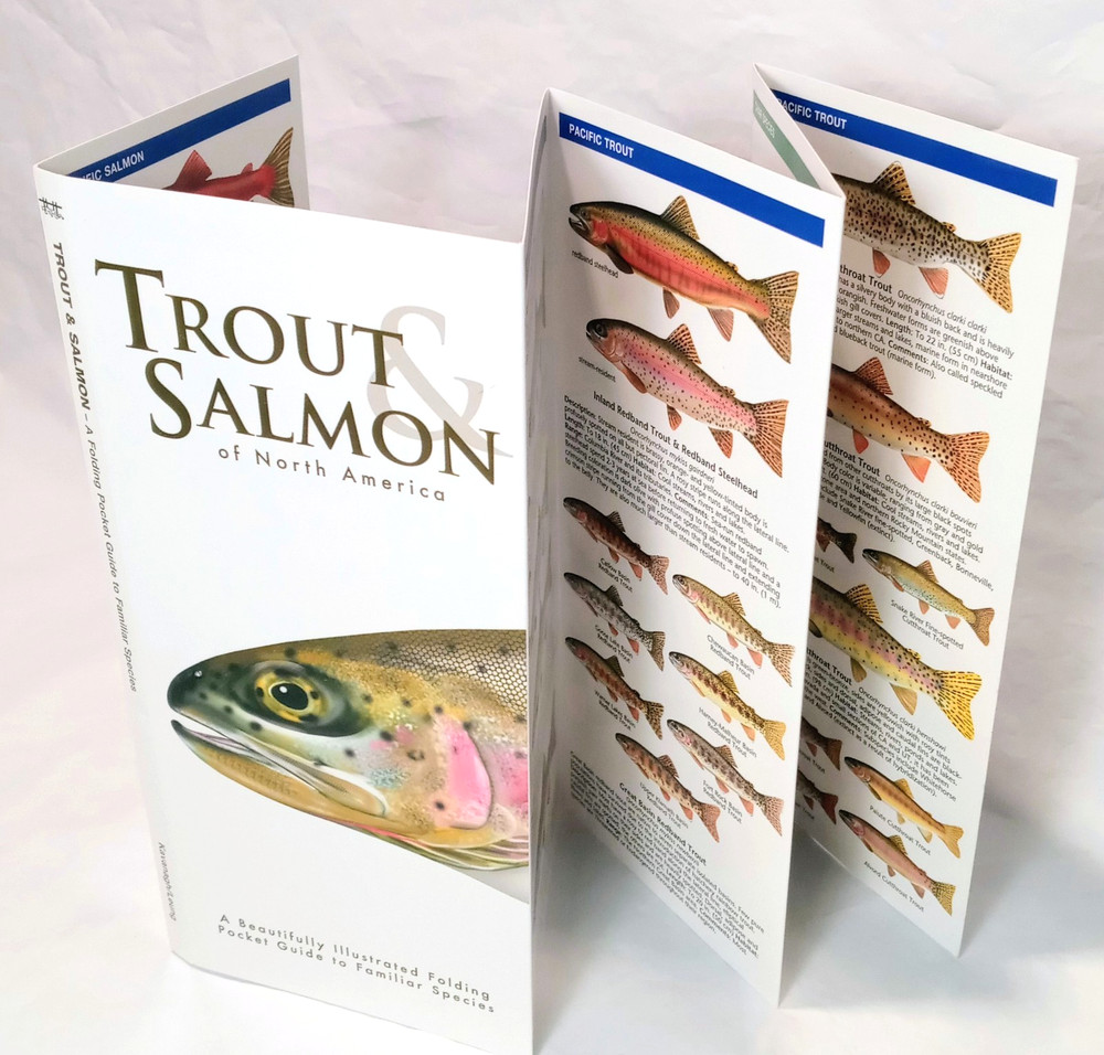 Trout & Salmon of North America Water Resistant Folding Pocket Guide 2016