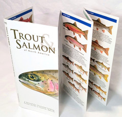 Trout & Salmon of North America Water Resistant Folding Pocket Guide 2016