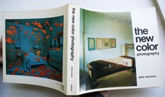 NEW COLOR/NEW WORK, THE NEW COLOR, Sally Eauclaire Abbeville Press 1st Ed. [368]