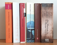 BUCHPAKET+6 BÜCHER+ Romane+LUCA DI FULVIO+KHALED HOSSEINI+TB+BUNDLE