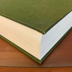 PRESENT Stefan VanVleteren Hardcover 496 pages English ISBN 94638