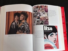 Kids, Wait till You Hear This! by Liza Minnelli (2026, Hardcover)