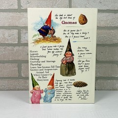 Gnomes Wil Huygen Rien Poortvliet 1977 Abrams Illustrated Fantasy Folklore HC DJ