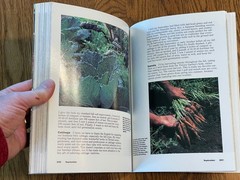 „The New Victory Garden” VTG Book by Bob Thomson, 1st Edition, 1987, 294 Pages