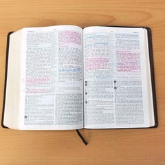 Zondervan The NIV Study Bible 10th Anniversary Edition 1995 Red Letter, Leather