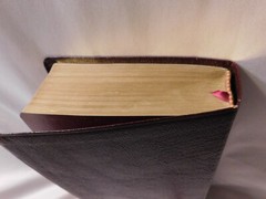 Holy Bible New International Version Old and New Testaments Bonded Leather