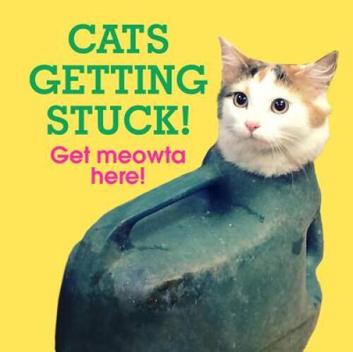 Cats Getting Stuck – Hardcover By Ebury Press – VERY GOOD