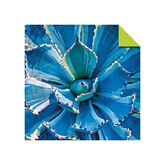 Origami Paper 500 sheets Succulents 6″ (15 cm): Tuttle Origami Paper: Double-Sid
