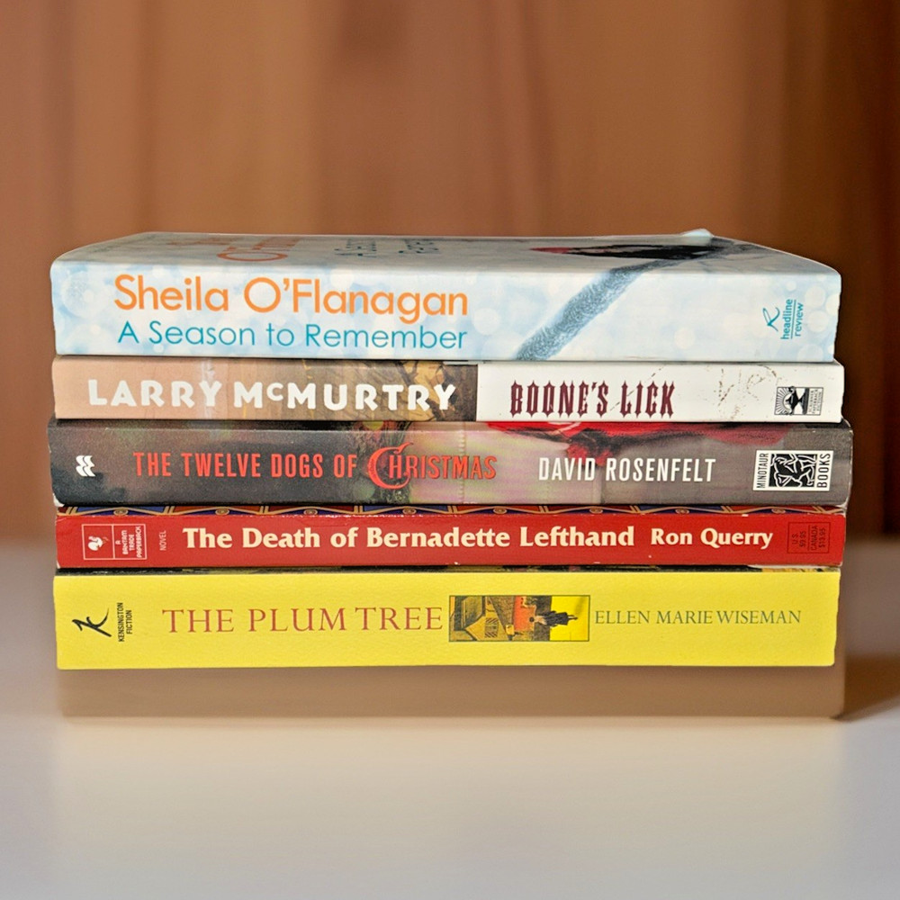 Book Lot ~ Trade Paperbacks ~ Fiction ~ Bundle ~ Mixed Titles ~ 5 Books