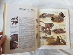 After Man: A Zoology of The Future Dougal Dixon Illustrated Paperback Book