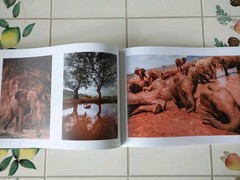 The Unsung Heroes by D Sheldrick, Wildlife Conservation & Animal Rescue HC, VG