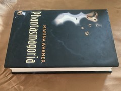 Phantasmagoria : Spirit Visions, Metaphors, and Media into the Twenty-First…