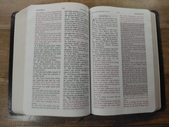 Jack Van Impe Prophecy Bible Special Limited Edition Red Letter KJV