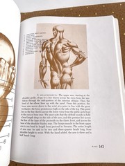 VTG 1990 Dynamic Anatomy SC Burne Hogarth Measurements Proportions Anatomical