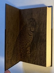 Use Enough Gun: On Hunting Big Game by Robert Ruark; 1st Printing Stated, NF/VG-