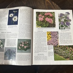 The Complete Guide to Garden Flowers, 1961, Hardcover