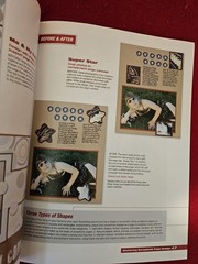 Mastering Scrapbook Page Design W/ Michele Gerbrandt by Memory Makers, 109 pages