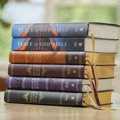 Peace of God Bible: Discover and Experience God’s Shalom Throughout the Bible