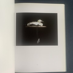 Anne Golaz : Metsasta : Hardcover, 120 pages : NEW, Inscribed by artist