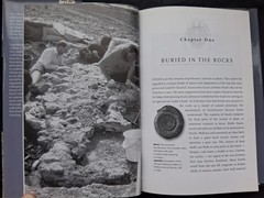 Fossils: The Key to the Past, hardcover book, by Richard Fortey