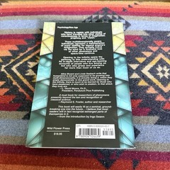 Opening to the Infinite: Human Multidimensional Potential by Alice Bryant