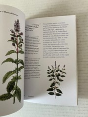 Herbal Handbook New York Botanical Garden 2022 1st Edition Clarkson Potter PB