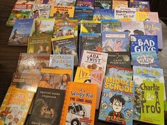 30 Chapter Books For Young Readers Mixed/Random Lot
